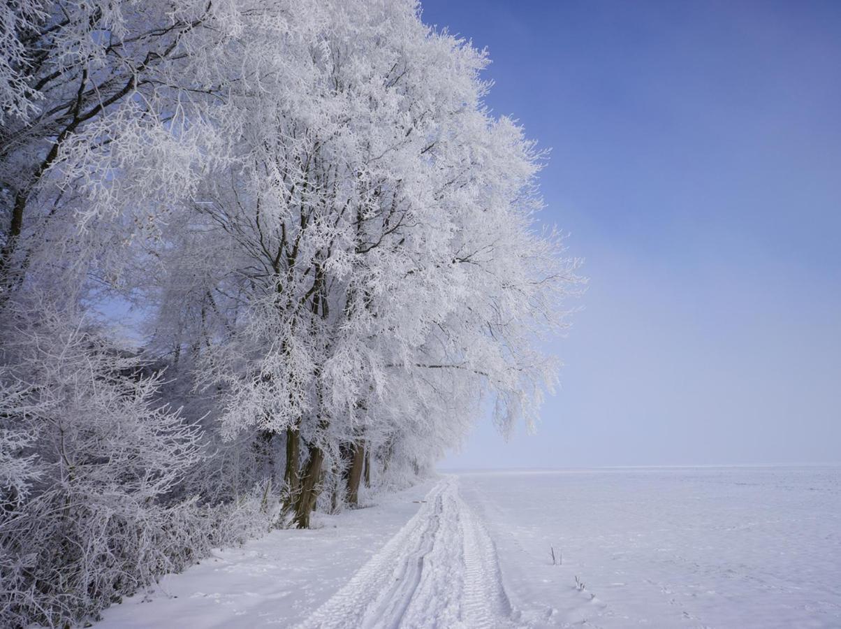 The Silent Picket Bed and Breakfast Martinpuich Buitenkant foto